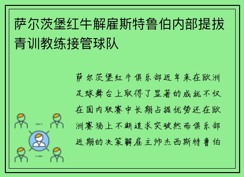 萨尔茨堡红牛解雇斯特鲁伯内部提拔青训教练接管球队 萨尔茨堡红牛解雇斯特鲁伯内部提拔青训教练接管球队